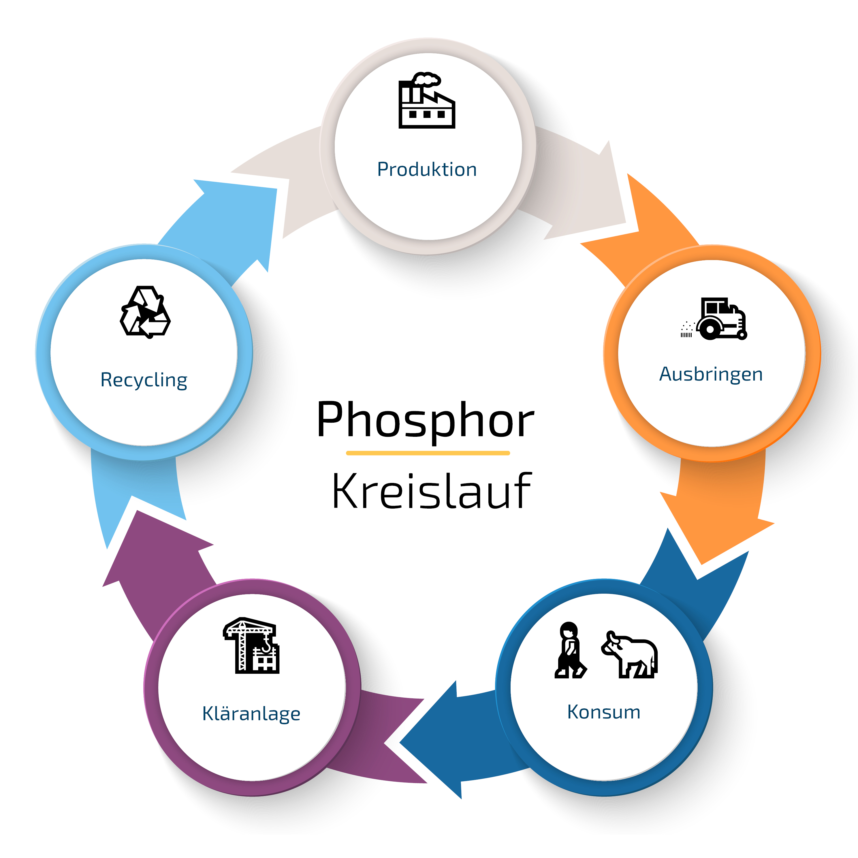 Kreislauf Phosphor